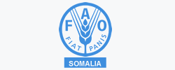 Fao